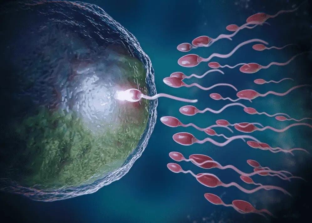 शुक्राणूची संख्या कमी असणे (Oligoasthenospermia)